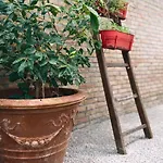 Fattoria Coppetella Moroseta Apartman *