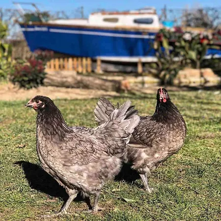 Appartement Fattoria Coppetella Moroseta *