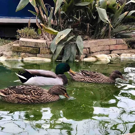 Fattoria Coppetella Moroseta * Molino di Ancona