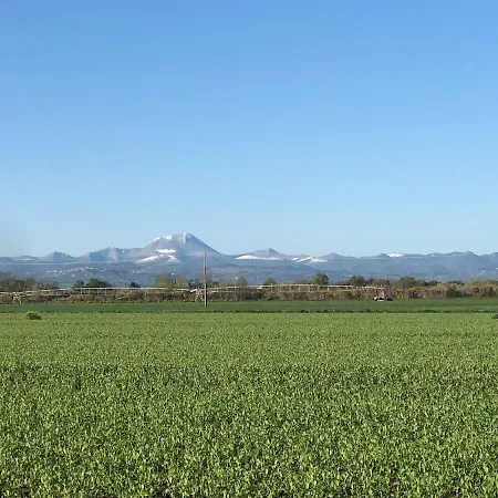 Fattoria Coppetella Moroseta