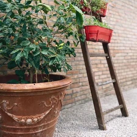 Fattoria Coppetella Moroseta Apartment *